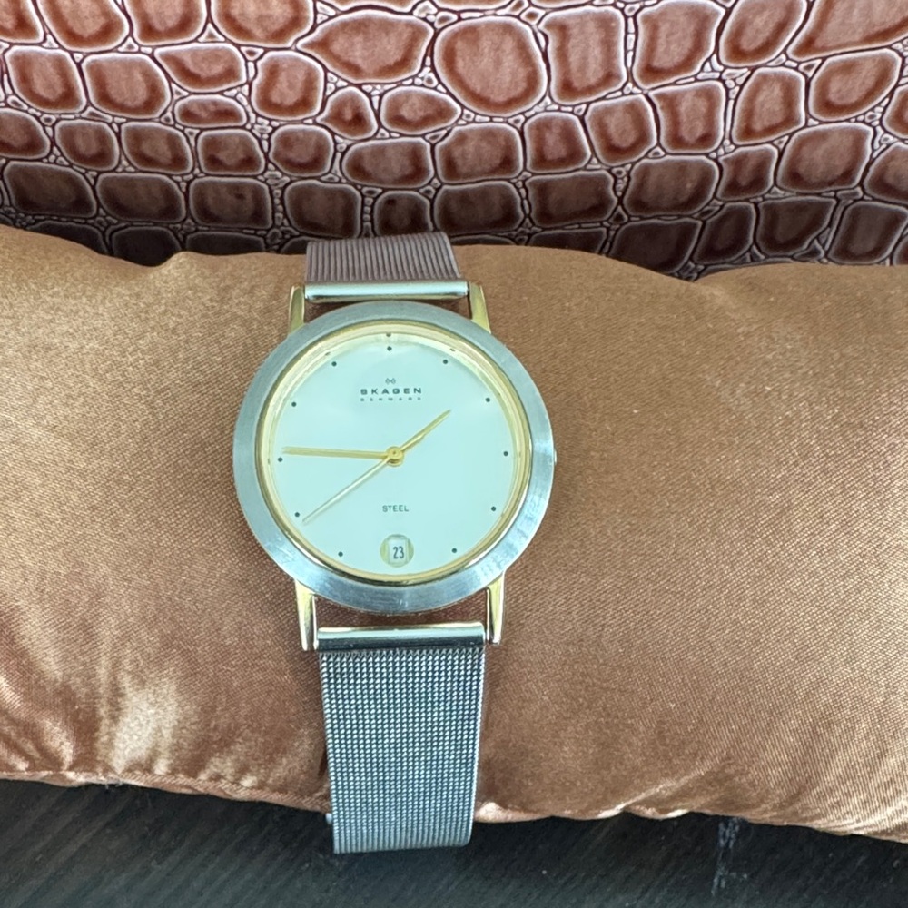 Skagen Silver Watch with Gold Accents